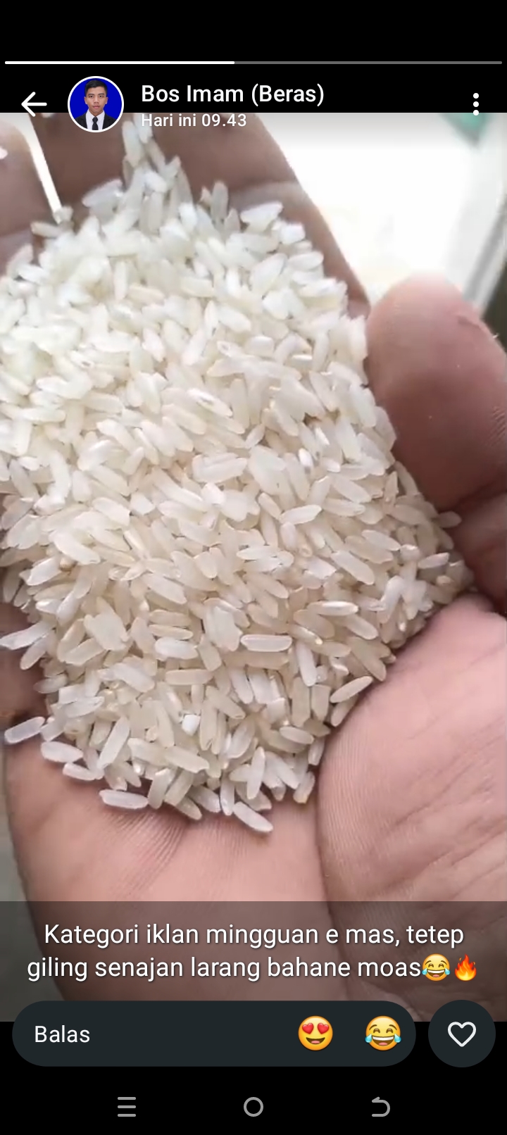 Beras medium kemasan 5kg,10kg,dan 25kg